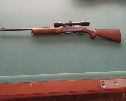 RIFLE REMINGTON CON MIRA TELESCOPICA
