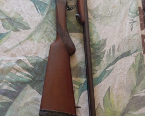 Paralela 410