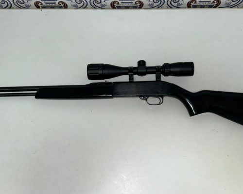 Carabina 22 lr