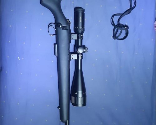 Ceska 457 Sintetico 17HMR