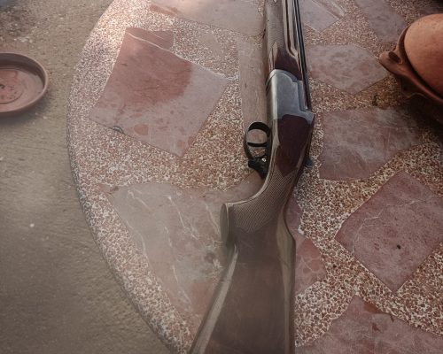 SUPERPUESTA FÉLIX SARASKETA