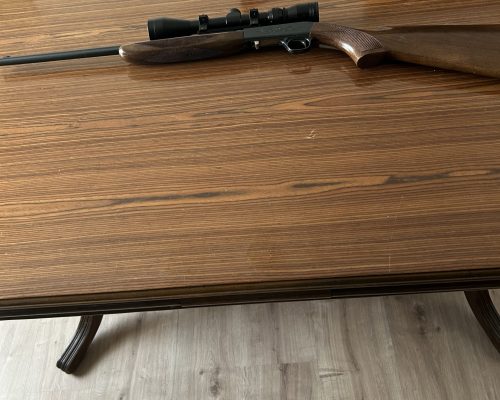 Venta carabina calibre 22