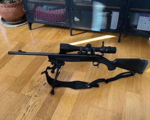 Bergara b13
