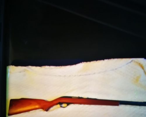 RIFLE DEL 22