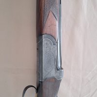 Escopeta Superpuesta Antonio Zoli, Modelo Delfino