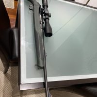 Sauer S303 calibre 338wm