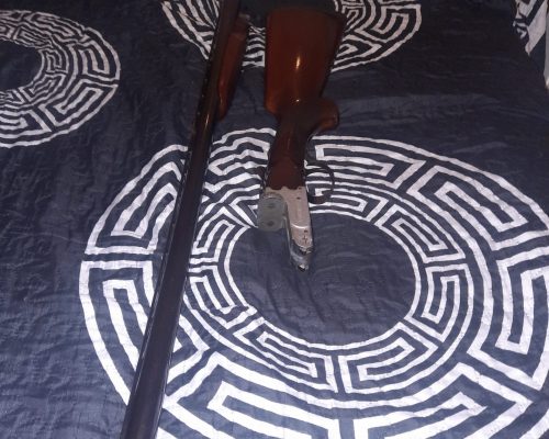 Paralela aranberri de un gatillo