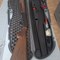 Benelli centro crio