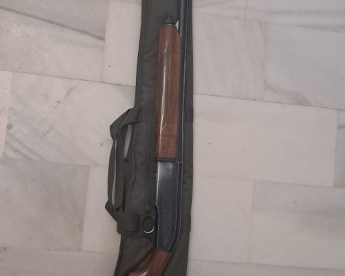 Vendo o cambio por carabina 22. Beretta 301 semiautomática choke 2*