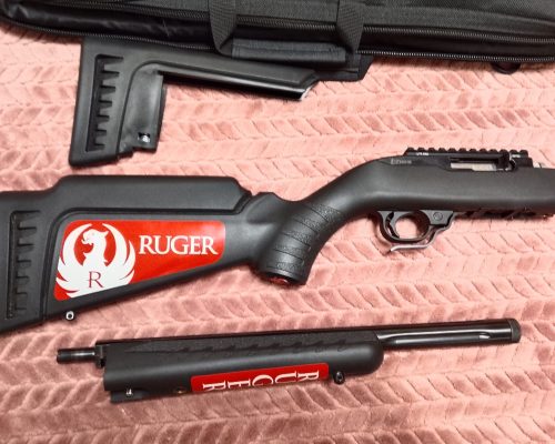 Ruger 10/22 target takedown