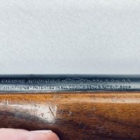 VENDO RIFLE 22 MARCA GEVARNM